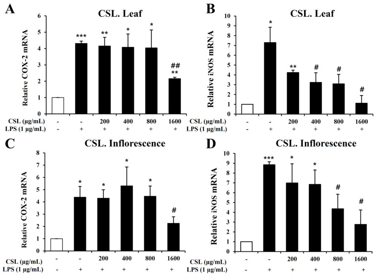 Effects of Cannabis sativa L. (CSL) leaf and inflorescence extracts on mRNA expression levels of iNOS and COX-2 in LPS-stimulated BV2 microglial cells. The CSL leaf extract effectively suppressed the mRNA levels of COX-2 and iNOS, particularly at 1600 µg/mL (A,B). The CSL inflorescence extract effectively suppressed COX-2 and iNOS mRNA levels in a concentration-dependent manner (C,D). Results are presented as the mean ± standard deviation (S.D.). Results are representative of three independent experiments. *, compared with the saline treatment alone; #, compared with the LPS treatment alone. */#, p < 0.05; **/##, p < 0.01; ***, p < 0.001.