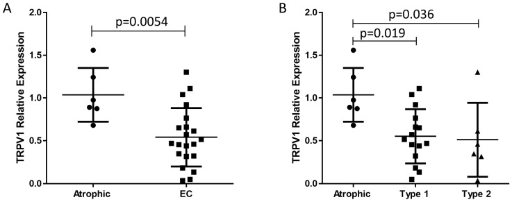 Transcript levels for TRPV1 in endometrial cancer samples. Panel (A): TRPV1 transcript levels were significantly (p = 0.0054) lower in the EC tissue (closed circles) [0.468 (0.318–0.712)]; [median ± IQR]) when compared to that of atrophic tissues (closed squares) [0.933 (0.825–1.322)]. Panel (B): Sub-analysis of the two types of EC revealed that TRPV1 transcript levels were significantly lower in Type 1 EC than in atrophic samples [0.514 (0.320–0.764)] vs. [0.933 (0.825–1.322)]; [median (IQR)], respectively. In addition, a reduction in TRPV1 transcript levels was observed in Type 2 EC (closed triangles) [0.402 (0.245–0.785)], p < 0.05, when compared that of the control (atrophic) group. The Ct values from the RT-qPCR analyses were normalised against the geometric mean of the Ct values for the transcript levels of IPO8, MRPL19 and PPIA, as described in [20].