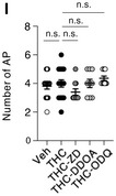 Figure 5I. Corrected.