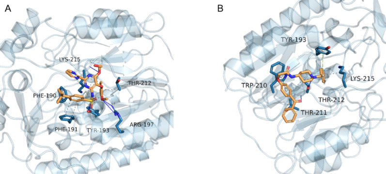 Molecular docking results. Orange represents ligand, blue represents receptor, white balls represent aromatic ring centers, grey dotted lines represent hydrophobic interactions, blue solid lines represent hydrogen bonding, and green dotted lines represent π-stacking (perpendicular). A: Bosentan and arginine-glycine amidinotransferase. B: AdipoRon and arginine-glycine amidinotransferase