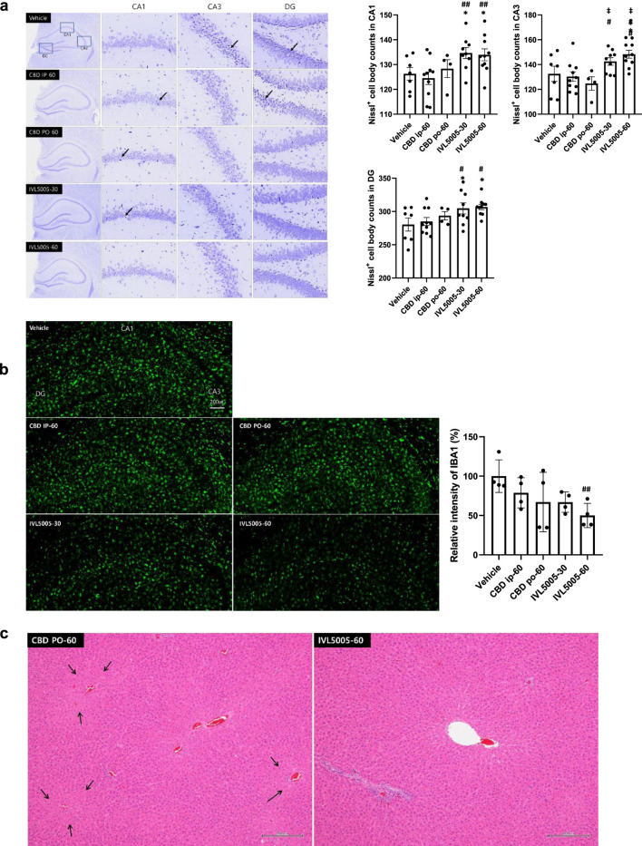 Panel a shows stained brain tissue images from different treatments (Vehicle, CBD IP, CBD PO, IVL5005) in CA1, CA3, and DG regions, with corresponding bar graphs depicting Nissl+ cell body counts. Panel b displays green fluorescent images of brain sections with a bar graph of relative intensity of IBA1 (%). Panel c features pink-stained liver tissue sections from CBD PO-60 and IVL5005-60 groups with black arrows indicating specific areas.