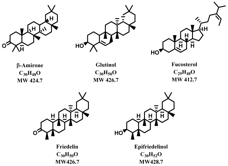 Triterpenoids from Cannabis sativa.