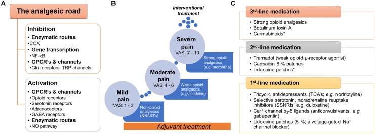General view of the current pharmacotherapy and guidelines used to treat pain. (A) Snapshot of the two main pathways (inhibition or activation) by which analgesic drugs induce pain relief at peripheral, spinal and supraspinal levels. (B) To treat pain, the WHO proposed the three-step analgesic ladder. Although primarily for the management of cancer pain, it is also used as a general guideline for the management of acute and chronic non-malignant pain. A key characteristic in this approach is the use of adjuvants∗∗ with the primary drug along the pain treatment. (C) In the case of neuropathic pain, specific clinical guidelines have been proposed by several international and regional professional associations. Although several recent clinical trials support these guidelines, we need to keep in mind that several factors could limit the applicability in real-world settings (i.e., neuropathic pain is a syndrome caused by diverse etiologies and different clinical manifestations). In general terms, three-line medication has been proposed by several professional associations (including the IASP, EFNS, NICE, and CPS). In all cases, the use of strong opioids is recommended as a 3rd-line medication agent considering the potential risk for abuse, overdose, mortality or misuse. ∗No conclusive efficacy on neuropathic pain treatment. ∗∗Adjuvants or co-analgesics are drugs non-specifically designed (or marketed) to treat pain; some examples: glucocorticoids, antidepressants (some SNRIs and TCAs), α2-adrenergic agonists (e.g., clonidine) and cannabinoids (including cannabis). COX, cyclooxygenase or prostaglandin-endoperoxide synthase; CPS, Canadian Pain Society; EFNS, European Federation of Neurological Sciences; GPCRs, G protein-coupled receptors, IASP, International Association for the Study of Pain; NICE, National Institute for Health and Care Excellence (of the United Kingdom); WHO, World Health Organization.