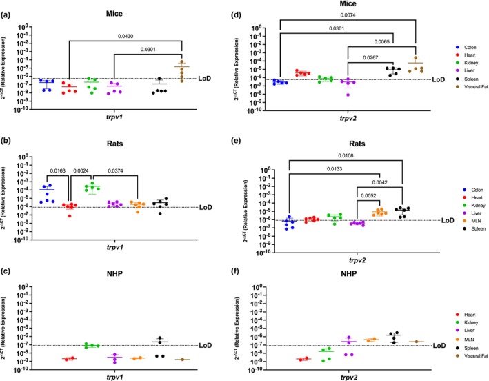 Peripheral TRPV1 and TRPV2 Nociception Channels Have Limited Translational Applicability to Humans. Relative expression of trpv1 and trpv2 was determined using qPCR from the colon, heart, kidney, liver, MLN, spleen, and visceral fat from mice, rats and NHP. (a) Trpv1 was detected partially in the colon (3/5 mice), kidney (2/5 mice), and the visceral fat (3/5 mice), having significantly different expression levels among the visceral fat and the expression levels in the heart and liver. (b) Trpv1 was detected in the colon, heart (5/6 rats), kidney, liver, MLN (5/6 rats), and spleen (5/6 rats). Significant differences were found between the kidney and the other organs, except for the colon which showed comparable expression levels. (c) Trpv1 was detected in the kidney (1/4 rhesus) and the spleen (2/4 rhesus). (d) Trpv2 mRNA was detected in the heart, kidney (4/5 mice), liver (1/6 mice), spleen, and visceral fat, having higher significant levels in the last two. (e) Trpv2 was detected in the colon (1/6 rats), heart (4/6 rats), kidney (4/5 rats), MLN, and spleen. Trpv2 was similar between immune organs, and they are both significantly different when compared with the metabolic organs. (f) Trpv2 showed broader detection, being detected in the liver (2/4 rhesus), MLN, spleen, and visceral fat. Data are graphed as the mean ± SD.