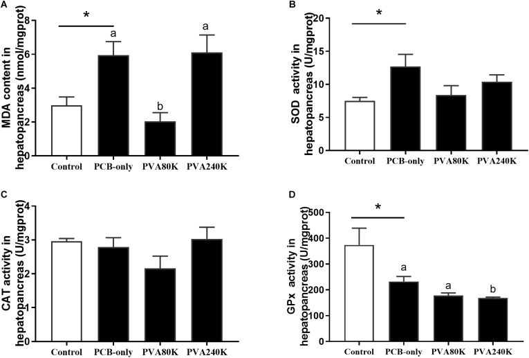 Effects of the vitamin A on the Aroclor 1254-mediated lipid peroxidation (malondialdehyde MDA) (A) and activities of superoxide dismutase (SOD) (B), catalase (CAT) (C), and Glutathione peroxidase (GPx) (D) of hepatopancreas from three individuals (n = 3); blank bar (diet without PCB), dark bar (diets with PCB). ∗p < 0.05. Data shown as means ± SEM.