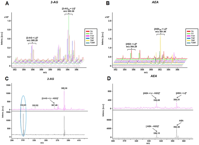 Levels of cannabinoids change as a function of time after injury.Time course MALDI-TOF measurement of cannabinoids in injured nerve cords from time 0 to time 240 minutes. A. Levels of 2-AG and 2-AG deuterated (D2O) with lithium chloride addition after the nerve cord lesions. B. Levels of AEA and AEA deuterated (D20) with lithium chloride addition after nerve cord crush. C. MALDI-MS spectra of standards of 2-AG and 2-AG with lithium chloride addition. D. MALDI-MS spectra of standards of AEA and AEA with lithium chloride addition.