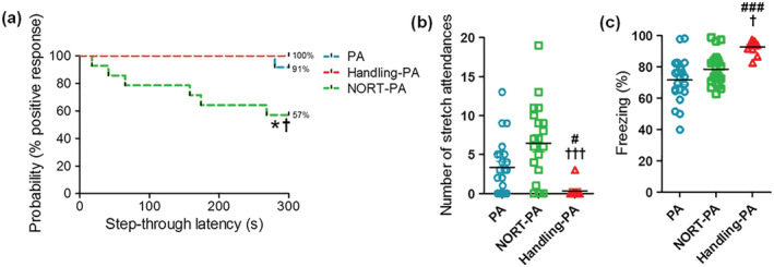 Analysis of the fear response of the rats from PA (n = 23), Handling‐PA (n = 12), and NORT‐PA (n = 23) groups after receiving an aversive stimulus. (a) Step‐through latency times during the retention phase of PA represented as Kaplan–Meier's survival curves. Significant differences were observed between the groups PA and NORT‐PA and the groups NORT‐PA and Handling‐PA (log‐rank/Mantel–Cox test, *P < 0.041 PA vs. NORT‐PA, †P < 0.011 NORT‐PA vs. Handling‐PA). (b) Number of stretch attendances during the retention phase of PA. Significant differences were observed between the groups PA and Handling‐PA and the groups NORT‐PA and Handling‐PA (Kruskal–Wallis test, post‐hoc test Dunn's multiple comparison, H(2) = 15.55, #P < 0.05 PA vs. Handling‐PA, †††P < 0.001 NORT‐PA vs. Handling‐PA). (c) Percentage of freezing time during the retention phase of PA. Significant differences were observed between the groups PA and Handling‐PA and between the groups NORT‐PA and Handling‐PA (Kruskal–Wallis test, post‐hoc test Dunn's multiple comparison, H(2) = 16.35, ###P < 0.001 PA vs. Handling‐PA, †P < 0.05 NORT‐PA vs. Handling‐PA)