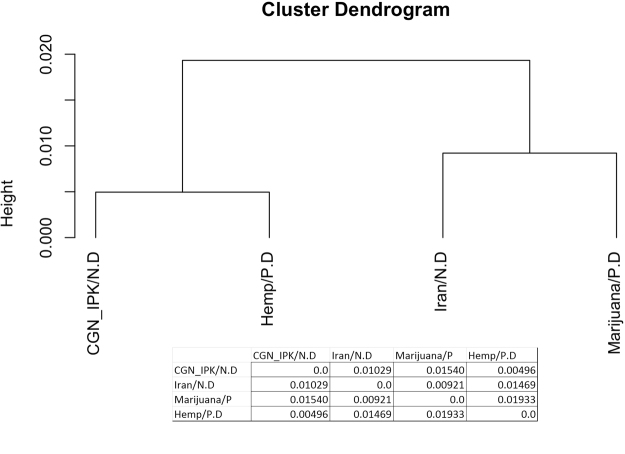 The dendrogram generated from Nei’s genetic distance.
