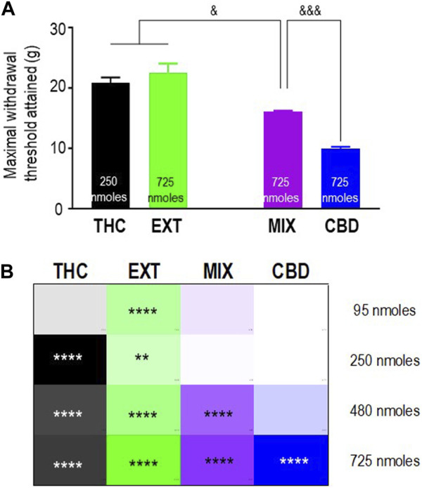 Comparison of the anti-allodynic effects of THC, CBD, THC:CBD (1:1) mix, and extract in STZ rats. Histograms show maximum withdrawal thresholds (mean ± SEM, n = 5) elicited by different treatments; doses at which maximal response was observed are indicated. (A) Maximal responses were compared by a one-way ANOVA followed by Sidak’s multiple comparisons to reveal differences between different treatments. & p < 0.05 and &&& p < 0.001, as indicated. Graphic summary of time-integrated responses elicited by increasing doses of the indicated treatments. (B) AUC values in Figures 2, 3 are presented here as a heatmap, along with the corresponding statistics in the figures.