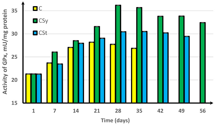 Peroxidase (GPx) activities in workers’ hemolymph along with the aging processes, after using two methods of supplementation with hemp extract. C, control (pure sugar syrup); CSy, hemp extract in syrup; CSt, hemp extract on strips (two-way ANOVA: supplementation method: F(5,1078) = 41,905, p = 0.0000, se ± 0.013879 (C), se ± 0.011332 (CSy), and se ± 0.012849 (CSt); days of supplementation: F(5,1078) = 41,905, p = 0.0000, se ± 0.019628 (1st–35th days), se ± 0.033996 (42nd day and 56th day), se ± 0.024039 (49th day); supplementation method × days of supplementation F(11,1078) = 2910.4, p = 0.0000, and se ± 0.033996). The chart shows statistical averages. The standard deviations for the means in this plot ranged from 0.06757 to 0.47376.