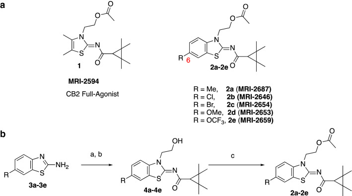 Benzothiazole-based CB2 ligands. (A) Structure of benzothiazole-based CB2 ligands. (B) Synthesis scheme for ligands, Reagents and conditions: a. 2-bromoethanol 90 °C; b. BOP, 2,2,3,3-tetramethylcyclopropane carboxylic acid. c. Acetyl Chloride.