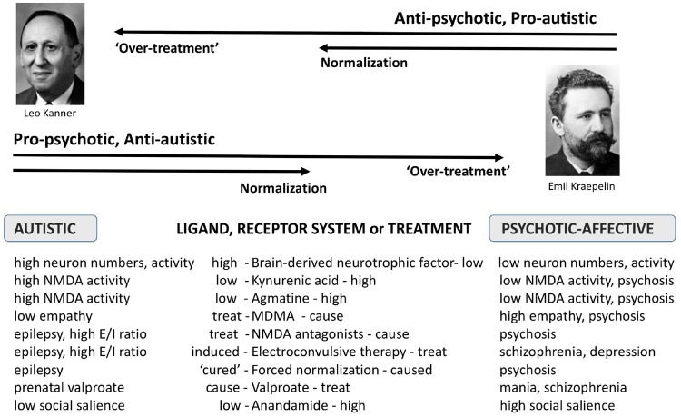 Model of autism and psychotic-affective conditions as diametric (opposite) disorders with diametric treatments and psychopharmacological patterns related to treatments. Optimal levels of treatment lead to normal, balanced cognition, while ‘too much’ treatment leads to phenotypes typical of the opposite disorder or disorders. See text for details. Leo Kanner is known for describing autism, and Emil Kraepelin for describing schizophrenia