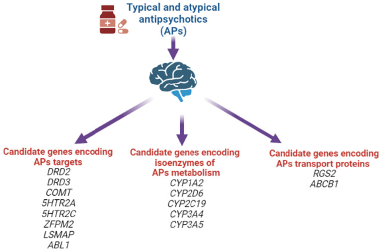 Candidate genes for the risk of developing antipsychotic-induced parkinsonism.