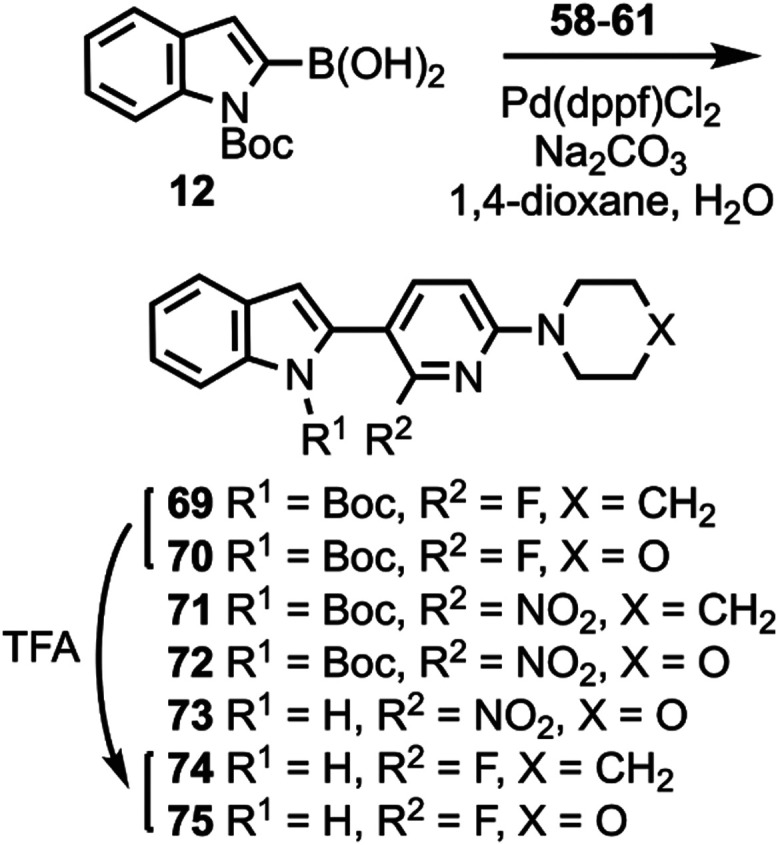 Synthesis of Compounds 71–75