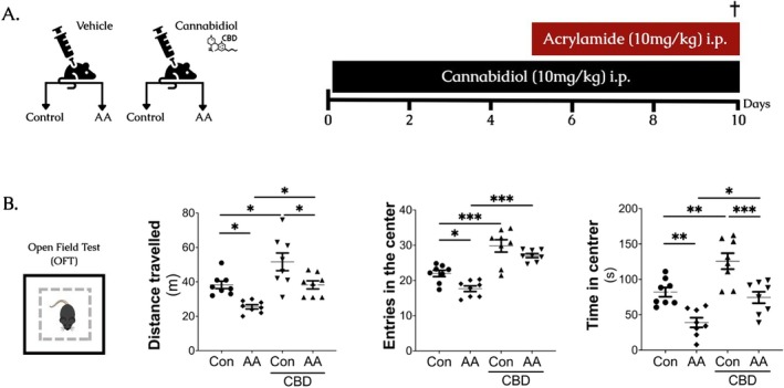 Protective effect of cannabidiol on anxiety‐like behavior against acrylamide‐induced toxicity. (A) Schematic representation of the experimental design of 5‐days‐long Acrylamide (AA) and 10‐days‐long Cannabidiol (CBD) treatment. (B) Open field test (OFT). Each scatter plot represents the data points for AA, CBD, co‐administration, and Con groups (n = 8/group). All data are expressed as group mean ± SEM (*p < 0.05. **p < 0.01. ***p < 0.001).