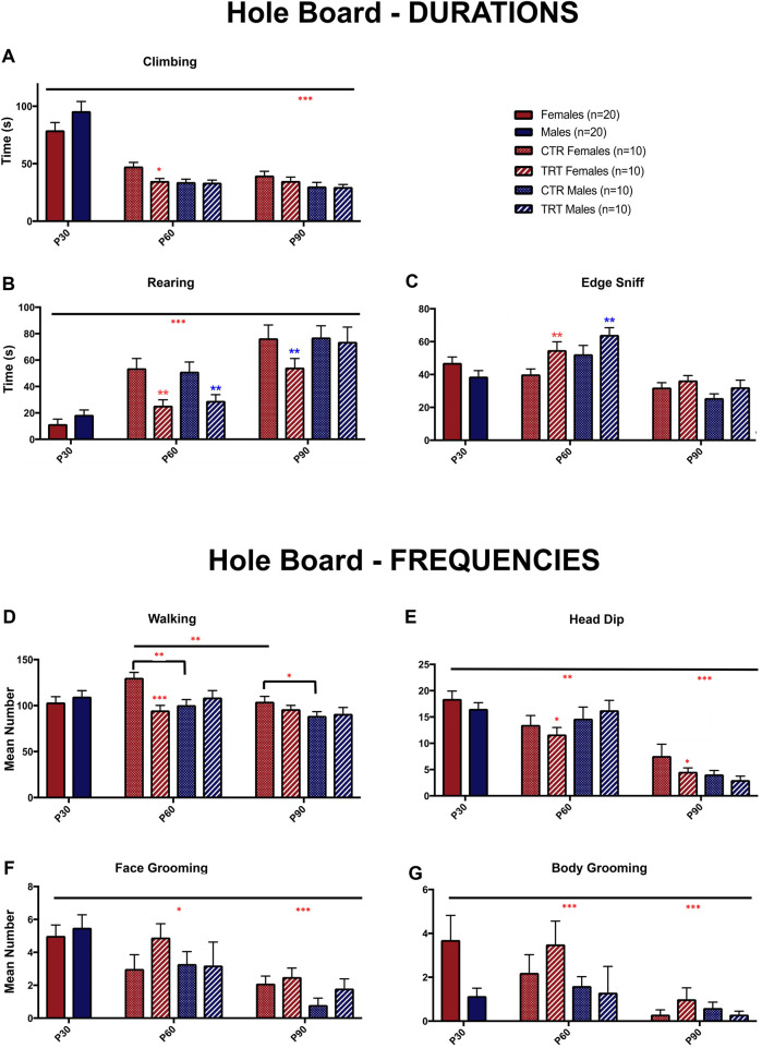 Bar graph with seven panels labeled A to G, showing behavioral data from a hole board task measuring durations and frequencies of activities such as climbing, rearing, edge sniff, walking, head dip, face grooming, and body grooming in different age groups and sex-based groups, including control and treated females and males. Significance is marked with asterisks and groups are color and pattern-coded per the legend.
