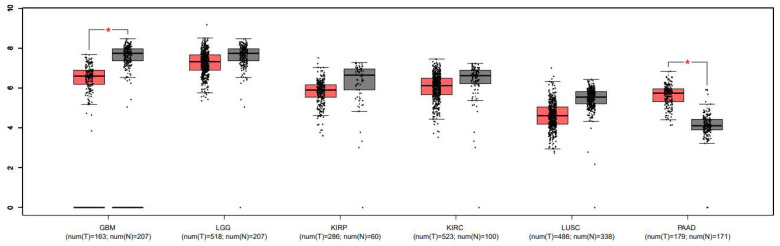 Boxplot comparing the expression levels of PINK1 between tumor (T) and normal (N) tissues across different cancer types. Red indicates tumor samples, and gray represents normal tissue. Significant differences in expression are marked with an asterisk (*). Cancer types include glioblastoma multiforme (GBM), low-grade glioma (LGG), kidney renal papillary cell carcinoma (KIRP), kidney renal clear cell carcinoma (KIRC), lung squamous cell carcinoma (LUSC), and pancreatic adenocarcinoma (PAAD). Expression− log2(TPM + 1).