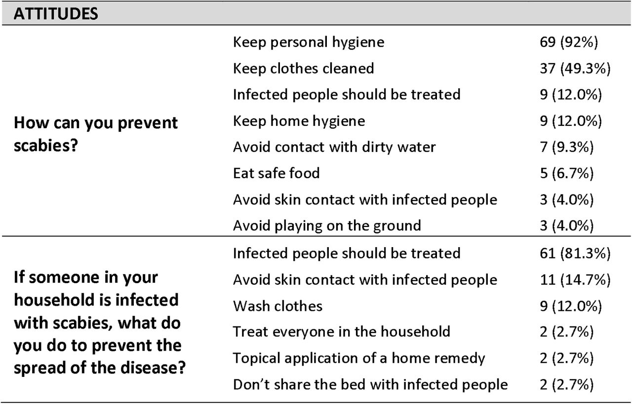 Questionnaire responses about attitudes on scabies