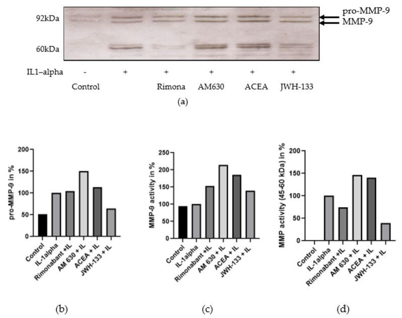 (a) Representative Western blots of MMP-9 in VSMCs, 48 h after stimulation with IL-1α. (b) Densiometric analysis of proMMP-9. (c) Densiometric analysis of MMP-9. (d) Densiometric analysis of MMP (45–60 kDa).