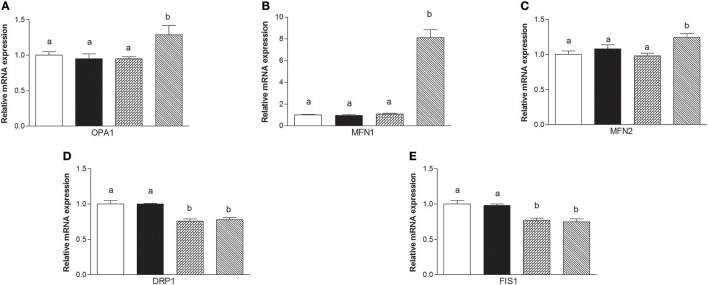 Effects of oral administration of human, donkey, and cow milk on skeletal muscle mitochondrial dynamics. The graphs summarizing the results of real time PCR represent the relative levels of mRNAs for OPA1 (A), MFN1 (B), MNF2 (C), DRP1 (D), and FIS 1 (E). Data are presented as means ± SEM from n = 7 animals/group. Labeled means without a common letter differ (P < 0.05).