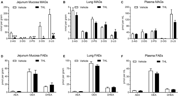 Oral gavage of the DGL inhibitor, THL, inhibited production of MAGs in the upper small-intestinal epithelium (A), but not in lung (B) or in circulation (C). THL had no effect on levels of FAEs in upper small-intestinal epithelium (D), lung (E), and circulation (F). *-indicates p-value < 0.05, **indicates p-value < 0.01, ***indicates p-value < 0.001, n = 6–8.