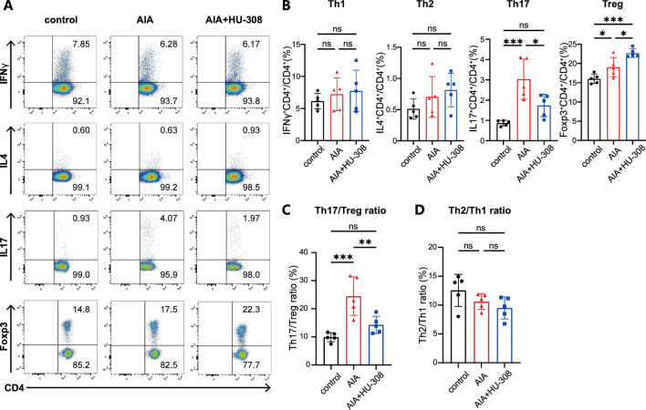 CB2 agonist HU-308 restores the Th17/Treg balance in AIA mice. (A) Representative flow cytometric plots illustrating the frequencies of Th1, Th2, Th17, and Treg cell populations in spleens. The numbers within the plots indicate the frequencies of cells present in each gate. (B–D) Summary plot showing frequencies of (B) Th1, Th2, Th17, Treg cells, (C) the Th2/Th1 ratio, and (D) the Th17/Treg ratio in spleens (n = 5). Data shown are representative of there independent experiments with similar results. Data are represented as the mean ± SD. *P < 0.05; **P < 0.01 and ***P < 0.001 by 2-tailed Student’s t-test. ns, not significant.