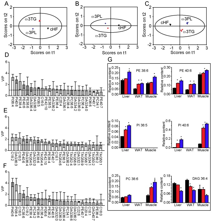 Changes in the lipid spectra in response to dietary LC n-3 PUFA in selected tissues of mice in the ‘prevention study’.Mice were fed for 9 weeks the cHF (black triangles), cHF+ω3TG (red circles), or cHF+ω3PL (blue circles) diet, while the last two diets were supplemented with 30 g DHA/EPA per kg. In total, 59, 71 and 61 lipid species were quantified in the liver, epididymal WAT and skeletal muscle, respectively, using time-of-flight secondary ion mass spectrometry (TOF-SIMS) analysis (see also Table S8, S9, S10). Means±SEM of 3–6 TOF-SIMS spectra from 3 animals per each group were used for orthogonal partial least squares-discriminant analysis (oPLS-DA). Score plots of the liver (A), WAT (B) and skeletal muscle (C) and corresponding variable important to projection (VIP) plots for the first latent variable (D, E, F), respectively. Only variables with VIP scores greater than 1 (denoted by a dashed horizontal line; D-F) and narrow confidence intervals were used for further evaluations, and only those discriminating between cHF+ω3TG and cHF+ω3PL diets (gray bars, D-F) were plotted (G; cHF diet, black bars; cHF+ω3TG diet, red bars; cHF+ω3PL diet; blue bars). See also Fig. S3 for additional lipid species identified. DAG, diacylglycerol. *Significantly different from cHF (all analyses by ANOVA).