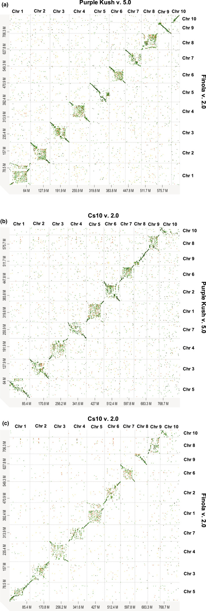 Dotplots showing the syntenic relationship between genomes of three Cannabis sativa cultivars. Pairwise genome alignments for (a) PK v.5.0 (GenBank acc. no. GCA_000230575.5) and FN v.2.0 (GenBank acc. no. GCA_003417725.2), (b) cs10 v.2.0 (GenBank acc. no. GCA_900626175.2) and PK v.5.0 and (c) cs10 v.2.0 and FN v.2.0 were performed using Minimap2 and the alignments were visualized using d‐genies (Cabanettes & Klopp, 2018; Li, 2018) (Supporting Information Table S3). Breaks in the alignment could be due to the presence of structural variants or the less contiguous nature of the PK and FN assemblies. The difference in chromosome orientation between the assemblies also can be seen. Only chromosome‐level alignments are shown. PK, Purple Kush; FN, Finola.