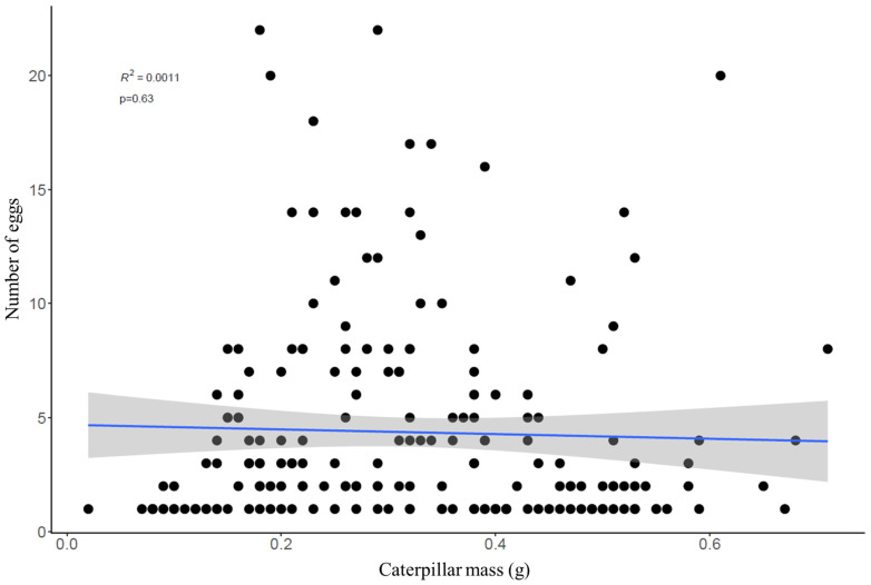 Scatterplot showing the relationship between the caterpillar weight and the number of tachinid eggs. The blue line indicates the linear model and its standard error (grey fill).