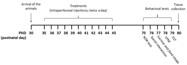Treatment schedule. Rats received pure THC, THC/CBD combinations, or vehicle twice a day via intraperitoneal (i.p.) injections during the adolescent period from postnatal day (PND) 35 to PND 45. THC/CBD ratios of 3 and 0.33, reminiscent of THC-rich/CBD-poor and CBD-rich/THC-poor cannabis, respectively, were used. For the CBD-rich/THC-poor combination, a THC content of 0.3% was considered. Animals were divided into four experimental groups: vehicle (ethanol: Kolliphor: saline 1:1:18); pure THC (2.5 mg/kg—PND 35–37; 5 mg/kg—PND 38–41; 10 mg/kg—PND 42–45); THC-rich/CBD-poor (THC 2.5 mg/kg + CBD 0.83 mg/kg—PND 35–37; THC 5 mg/kg + CBD 1.66 mg/kg—PND 38–41; THC 10 mg/kg + CBD 3.32 mg/kg—PND 42–45); CBD-rich/THC-poor (THC 0.15 mg/kg + CBD 5 mg/kg). Starting from PND 75, rats underwent behavioral assessment on five consecutive days. Twenty-four hours after the last test, brain tissues were collected for subsequent biochemical analysis.