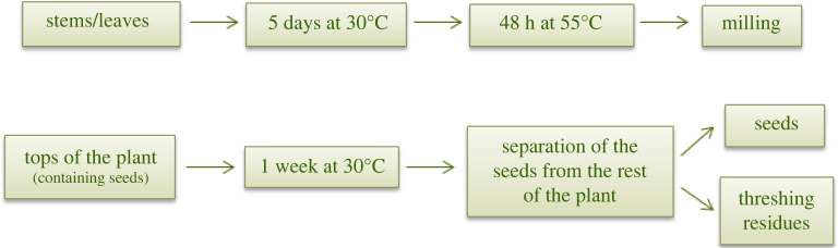 Drying and sample preparation for the stems, leaves, and tops.