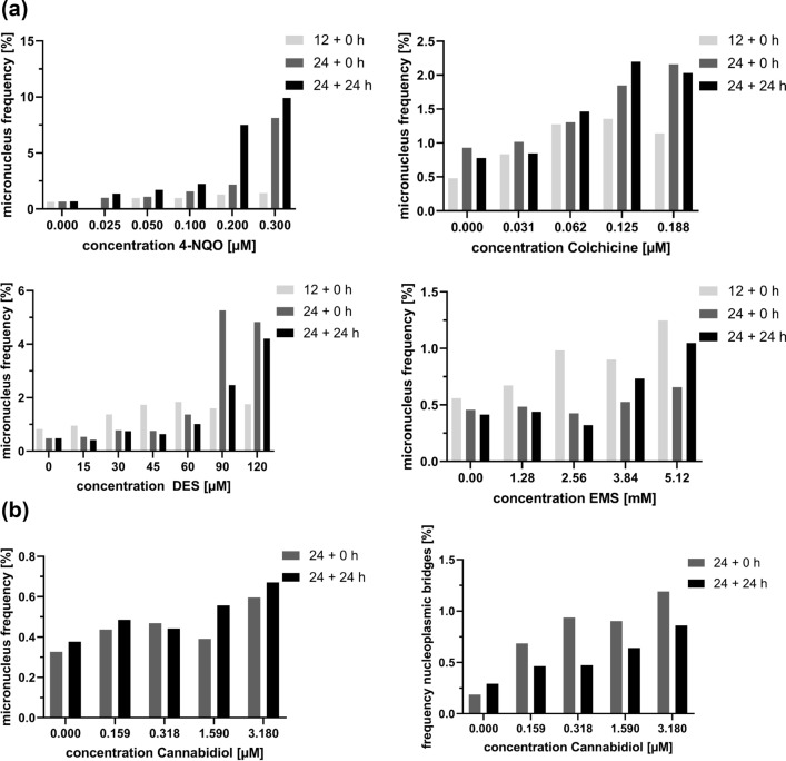 a Micronuclei induction by 4-NQO, colchicine, DES and EMS in KCB H2B-eGFP cells with varying exposure and recovery treatments. Micronucleus frequencies were assessed either after 12 h (12 + 0 h) or 24 h (24 + 0 h) of treatment and after 24 h of treatment with additional 24 h of recovery (24 + 24 h). b Solid nucleoplasmic bridges and MNi Frequencies observed at different time points of the same cannabidiol exposure experiment