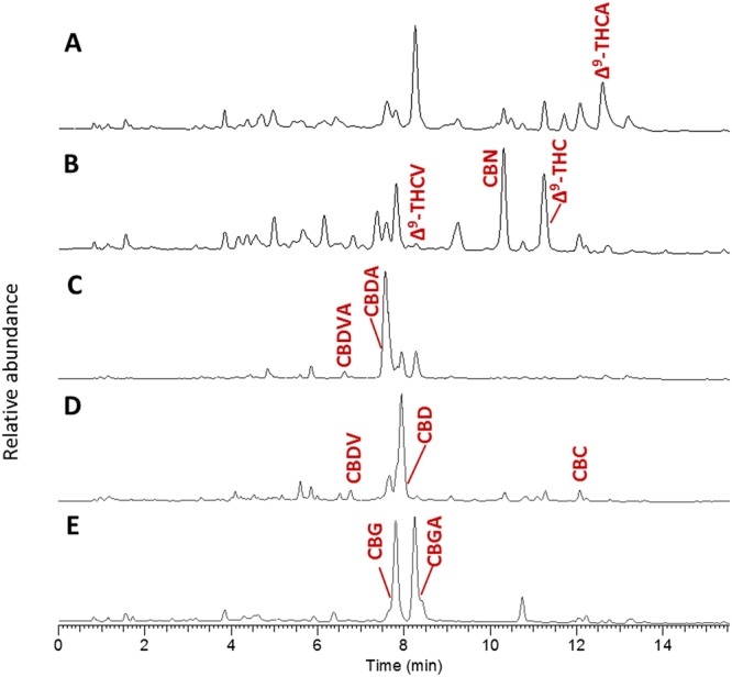LC/MS TIC of (A) untreated and (B) decarboxylated high-Δ9-THCA; (C) untreated and (D) decarboxylated high-CBDA; and (E) partly decarboxylated high-CBGA Cannabis strains injected in the prepared concentration, with annotated phytocannabinoids identified according to analytical standards on the samples with the highest expression.
