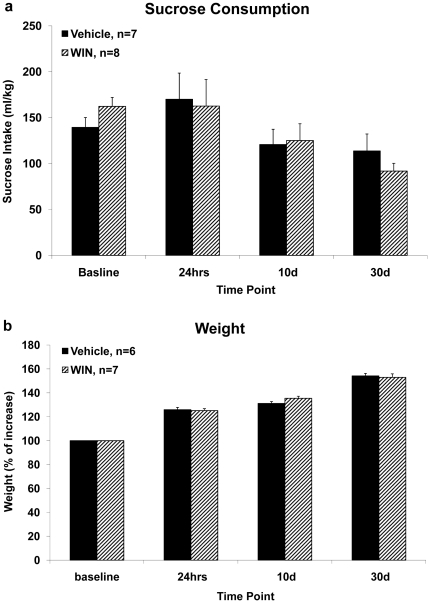 The effects of chronic exposure to WIN55,212-2 during late adolescence on sucrose consumption. 4a. Chronic administration of WIN had no effect on sucrose consumption when measured at baseline, 24 h, 10 d or 30 d after the last drug injection. 4b. Chronic administration of WIN had no effect on weight gain compared to the vehicle group when measured at baseline, 24 h, 10 d, or 30 d after the last drug injection.