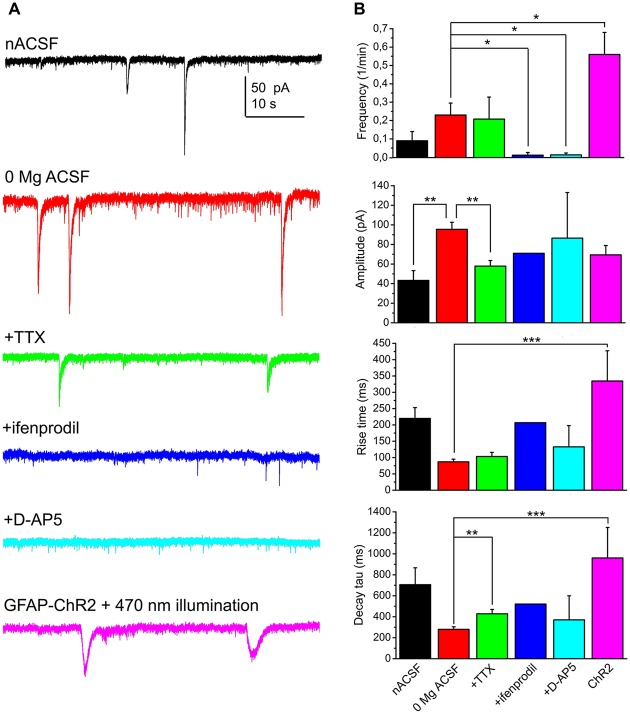 SICs of the PPN neurons are consequences of NMDA receptor activation and astrocytic activity. (A) Representative voltage clamp traces from PPN neurons under different conditions (black: normal artificial cerebrospinal fluid [nACSF], n = 15; red: magnesium-free ACSF, n = 52; green: magnesium-free ACSF + tetrodotoxin (TTX), n = 14; blue: magnesium-free ACSF + ifenprodil [GluN2B subunit-specific NMDA receptor inhibitor], n = 12; light blue: magnesium-free ACSF + D-AP5 [general NMDA receptor inhibitor], n = 22; magenta: magnesium-free ACSF; recorded from glial fibrillary acidic protein (GFAP)-channelrhodopsin-2 (ChR2) sample illuminated with 470 nm light). (B) Statistical comparison of SIC parameters using the same color code as on panel (A). (*p < 0.05; **p < 0.01; ***p < 0.001).