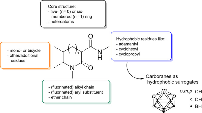 Common structural motifs for CB2R ligands, inspired by Spinelli et al.27