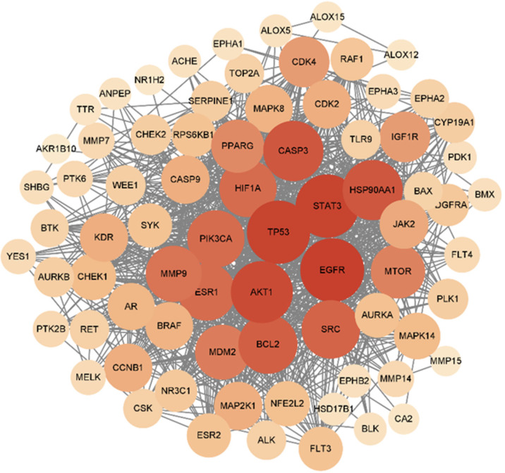 Construction of a protein-protein interaction network for target proteins at the intersection of tetrahydrocurcumin and hepatocellular carcinoma.