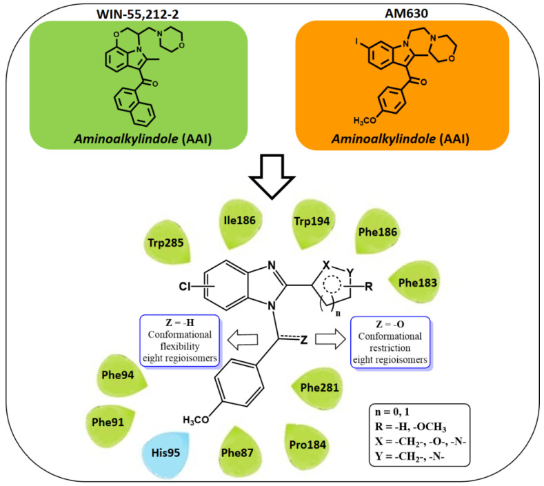 Design strategy for obtaining (5/6-chloro-2-aryl-1H-benzo [d]imidazol-1-yl)(4-methoxyphenyl)methanone and 5/6-chloro-1-(4-methoxybenzyl)-2-aryl-1H-benzo [d]imidazole regioisomers as CB2 ligands based on the structures of the aminoalkylindoles WIN-55,212-2, AM630 and the CB2 receptor active site reported by Xing et al.