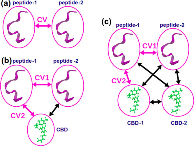 Collective variables used in well-tempered metadynaimics simulations. (a) 1D simulations for systems containing peptides in water. The distance between centers of mass of peptides is a CV. (b) 2D simulations for systems containing 2 peptides and 1 CBD molecule. CV1 is the distance between centers of mass of peptides. CV2 is the distance between centers of mass of a peptide and a CBD molecule. The black arrow shows the distance which was not taken into account. (c) 2D simulations for systems containing 2 peptides and 2 CBD molecules. CV1 is the distance between centers of mass of peptides. CV2 is the distance between centers of mass of a peptide and a CBD molecule. The black arrows show the distances which were not taken into account.