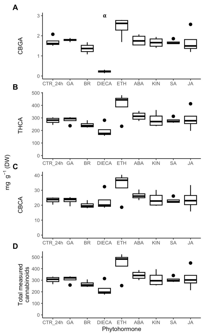 CBGA (A), THCA (B), CBCA (C), and total measured cannabinoid (D) content [mg g−1 (DW)] of isolated cannabis (Cannabis sativa L.) glandular trichome disc cells when treated in vitro with phytohormones (n = 4). Boxplots represent median, interquartile range, maximum and minimum, and outliers (closed circles). Significance (denoted by ⍺) was determined by two-sample Student’s t-test (p-value < 0.05) by comparing phytohormone treatments to the control (CTR_24h). Abbreviations: CBGA, cannabigerolic acid; THCA, tetrahydrocannabinolic acid; CBCA, cannabichromenic acid; ABA, abscisic acid; BR, brassinolide; DIECA, diethyldithiocarbamate; ETH, ethephon; GA, gibberellic acid; KIN, kinetin; JA, jasmonic acid; SA, salicylic acid.