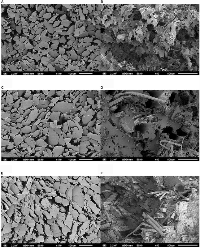 Scanning electron microscope (SEM) micrograph of the samples of the variety Carmaleonte: (A) H1 – bio-degummed, fiber bundle transverse section; (B) H1 – bio-degummed, composites fraction surface; (C) H2- bio-degummed, fiber bundle transverse section; (D) H2 – bio-degummed, composites fraction surface; (E) H1 – dew-retted, fiber bundle transverse section; (F) H1 – dew-retted, composites fracture surface.
