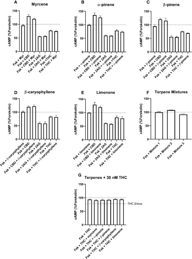 hCB2-Mediated inhibition of cAMP production in response to forskolin (Fsk) and drug combinations with 10 µM myrcene (A), α-pinene (B), β-pinene (C), β-caryophyllene (D), limonene (E), or terpene mixtures (F). Figure (G) shows inhibition of the Fsk response by an approx. EC50 concentration of THC (30 nM) in combination with 10 µM of each of the five terpenes. Data are normalized to forskolin (100%) and basal (0%). cAMP responses were stimulated with forskolin (5 µM), and all cannabinoids and terpenes were at a final concentration of 10 µM. Data are means ± SEM of three independent determinations.