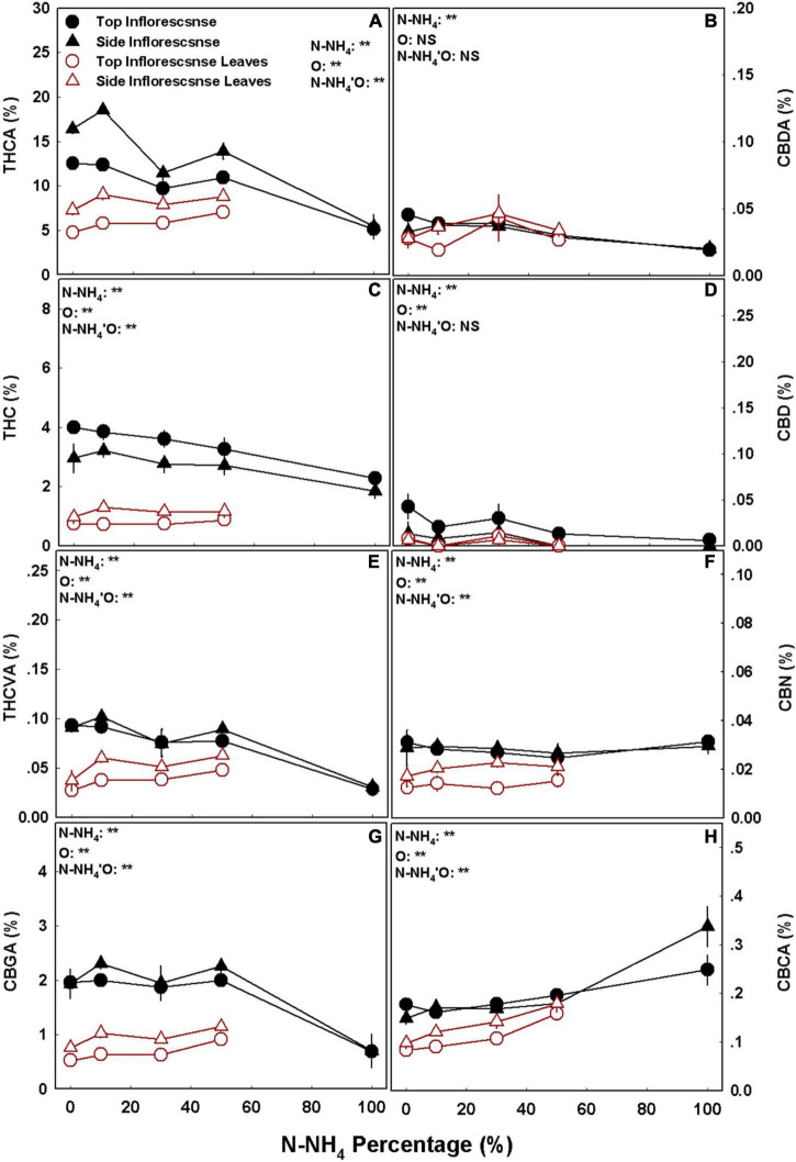 Effect of NH4/NO3 ratio on cannabinoid concentrations in medical cannabis plants. Concentrations of THCA (A), CBDA (B), THC (C), CBD (D), THCVA (E), CBN (F), CBGA (G), and CBCA (H) in top (primary) and side (secondary) inflorescences and inflorescence leaves. Presented data are averages ± SE (n = 5). Results of two-way ANOVA indicated as **P < 0.05, F-test; NS, not significant P > 0.05, F-test. In the ANOVA results N-NH4’O represents the interaction between NH4/NO3 ratio and plant organ.