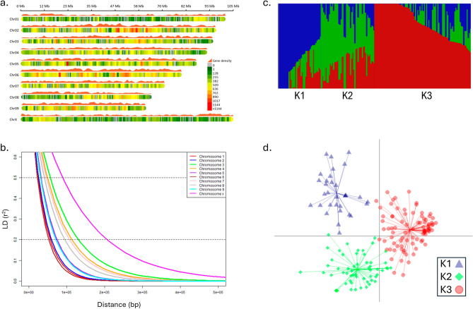 Genome-wide distribution of markers, linkage disequilibrium (LD) and population structure analysis. (a) Density plot of markers and genes across the genome. Colors represent the number of SNPs within 1 Mb window size. (b) LD decay in each chromosome where LD values of intra-chromosomal pairwise markers were plotted against physical distance. (c) Admixture plot for K = 3 using fastStructure. The vertical lines represent the accessions, and the y-axis represents the probability that an individual belongs to a subgroup. (d) Discriminant analysis of principal components (DAPC) scatter plot showing population structure.