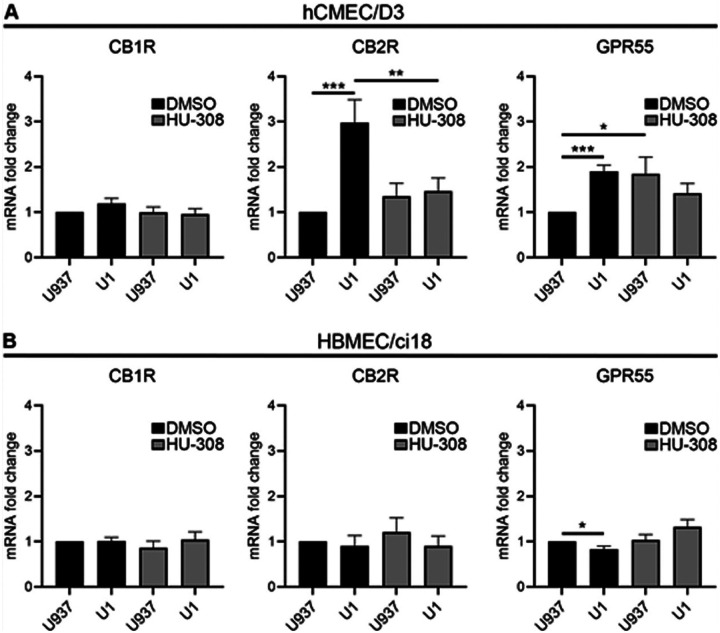 Latent HIV-infected environment and CB2R activation affect differently hCMEC/D3 and HBMEC/ci18 cannabinoid receptors expression.Fold change from mRNA baseline expression levels of CB1R, CB2R and GPR55 in A)hCMEC/D3 and B) HBMEC/ci18 after exposure to U937 or U1-conditioned medium, following a pre-incubation with DMSO or HU-308 (10 uM). Data are expressed as mean of values obtained from 3 independent experiments ± SEM. *p<0.05, ***p<0.001 for indicated comparisons.