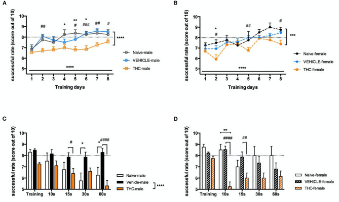 Working memory. Working memory is impaired in adolescent mice chronically treated with THC. Success rate (out of 10 trials) during delayed-alternating T-maze training for 8 days of males (A) and females (B). Following 8 days of training, increasingly delayed internal times were tested in 5 trials for male (C) and female (D) mice. All data were analyzed by two-way ANOVA with Sidak's test and data are presented as (mean ± SEM). *P < 0.05; **P < 0.01 compared between naïve and THC groups. ***P < 0.001; ****P < 0.0001 comparison over time or between vehicle and THC groups. #P < 0.05; ##P < 0.01; ###P < 0.001; ####P < 0.0001 compared between vehicle and THC groups (N = 4–14 per group).
