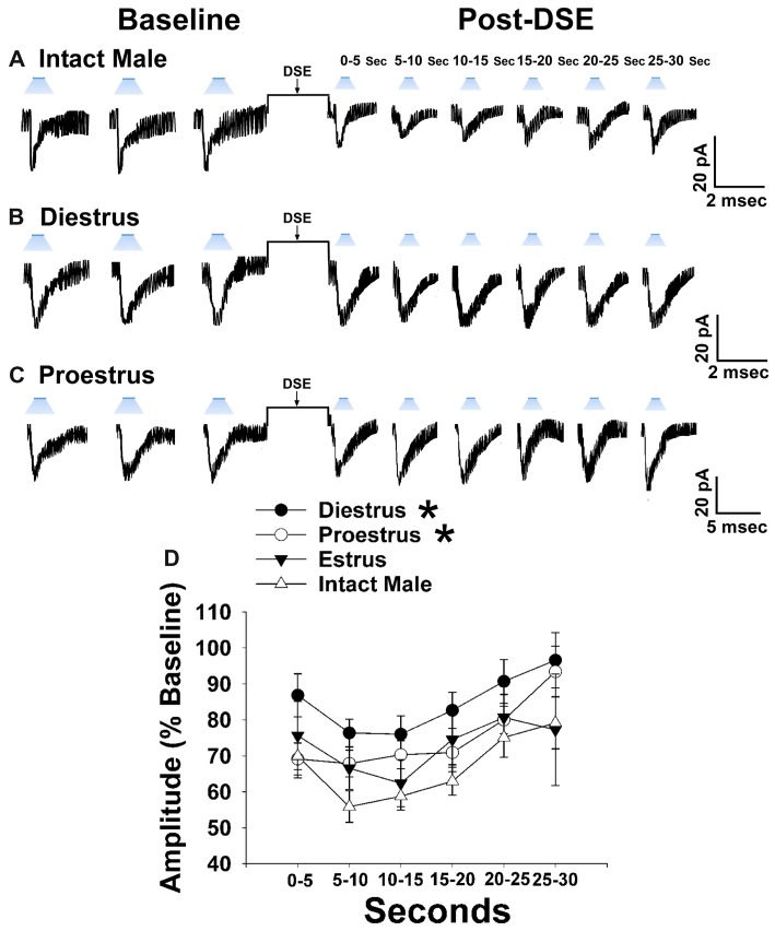 Sex differences in the retrograde inhibition of glutamatergic input at VMN SF-1/ARC POMC synapses in NR5A1-Cre mice. The representative traces of membrane current show that the reduction in leEPSC amplitude caused by postsynaptic depolarization is comparatively larger in gonadally intact males (A; n = 22) than in diestrus (B; n = 19) and proestrus (C; n = 21) females. This can also be seen from the composite line graph (D). Lines represent means and lines 1 SEM. *P < 0.05; rank-transformed multifactorial ANOVA/LSD.