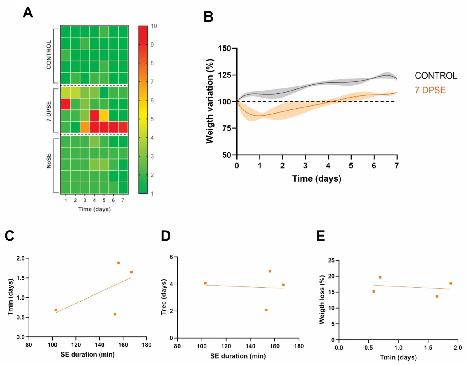 Evolution of rats’ hypersensitivity state post-SE. (A) Individual manipulation score. (B) Average evolution of animal weight obtained from individual polynomial fitting (dark line) plotted with the confidence interval (light line). (C–E) Correlation between SE duration and weight evolution parameters [Tmin: (time at which maximum weight loss occurred); Trec (time at which the animals reached 100% of their initial weight); Weightloss (difference between initial and minimum weight)]. Non-significant correlations were observed (p = 0.390; p = 0.4558; p = 0.3827; respectively).