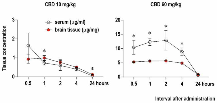 Tissue concentration of CBD. Levels of CBD in serum (μg/mL of plasma, empty circles) and in brain tissue (μg/mg of tissue, red circles) assessed in 5-time intervals after drug administration (0.5–24 h; axis x). CBD was administered intraperitoneally in doses 10 mg/kg (left panel) or 60 mg/kg (right panel). Data are expressed as a mean ± SD. Asterisks denote a significant difference between plasma and brain levels.