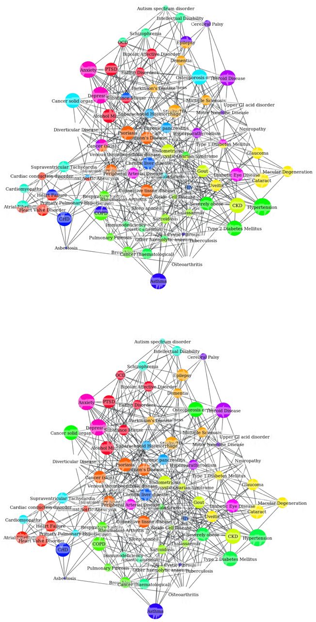 Visualisation of clustering solutions with highest MCS in a single age-sex stratum (women, 60-69 years old). (a) Clustering solution when allowing multiple clustering membership. The backboning parameter δ for this solution is 0.82. (b) Clustering solution with the same δ but with a version of the algorithm that only allows conditions to belong to a single cluster. Node sizes are proportional to condition prevalence.